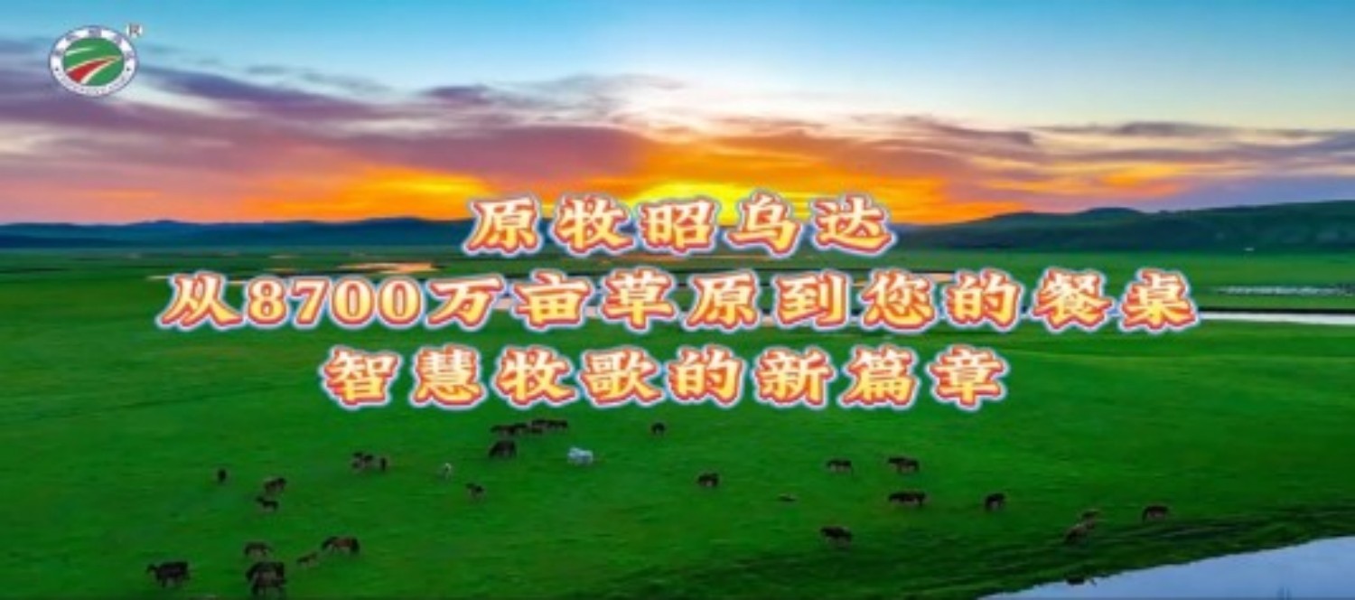 原牧昭乌达：从草原沃土走向世界的生态承诺  ——以全链匠心，守护每一份来自昭乌达的草原馈赠