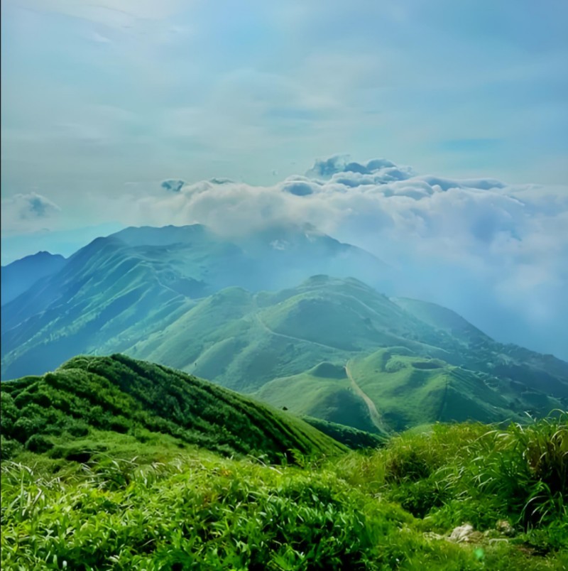 在大南山，邂逅云端草原与落日熔金