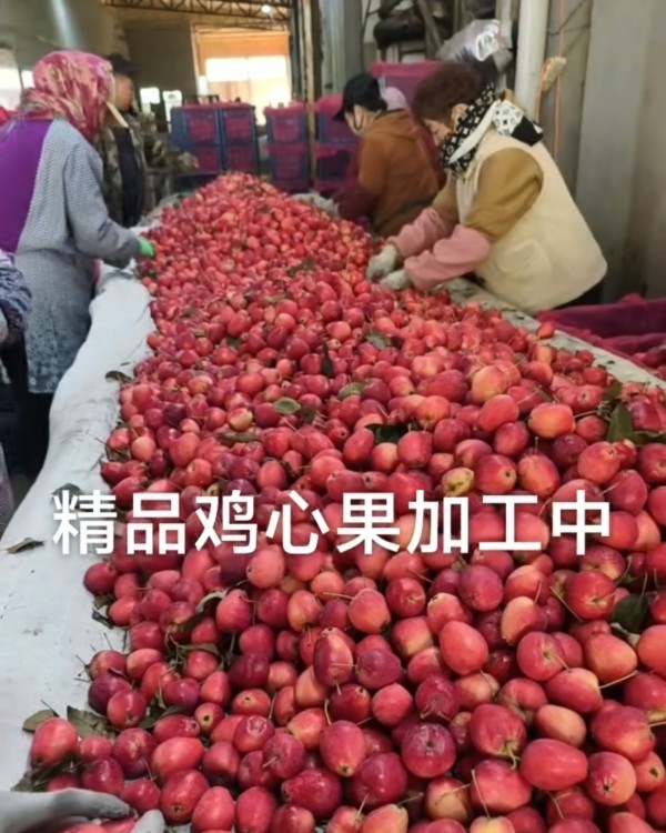 致富路上带头人