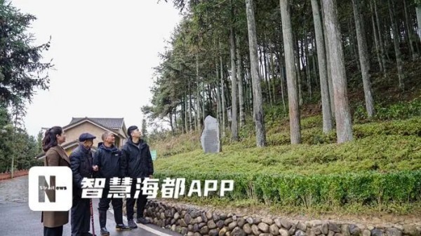 曾是贫苦户！宁德“造林大王”种树40多年，点“绿”成金